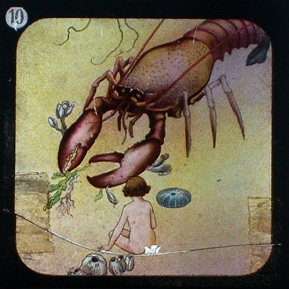THE WATER-BABIES - magic lantern slide